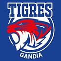 Tigres de Gandia